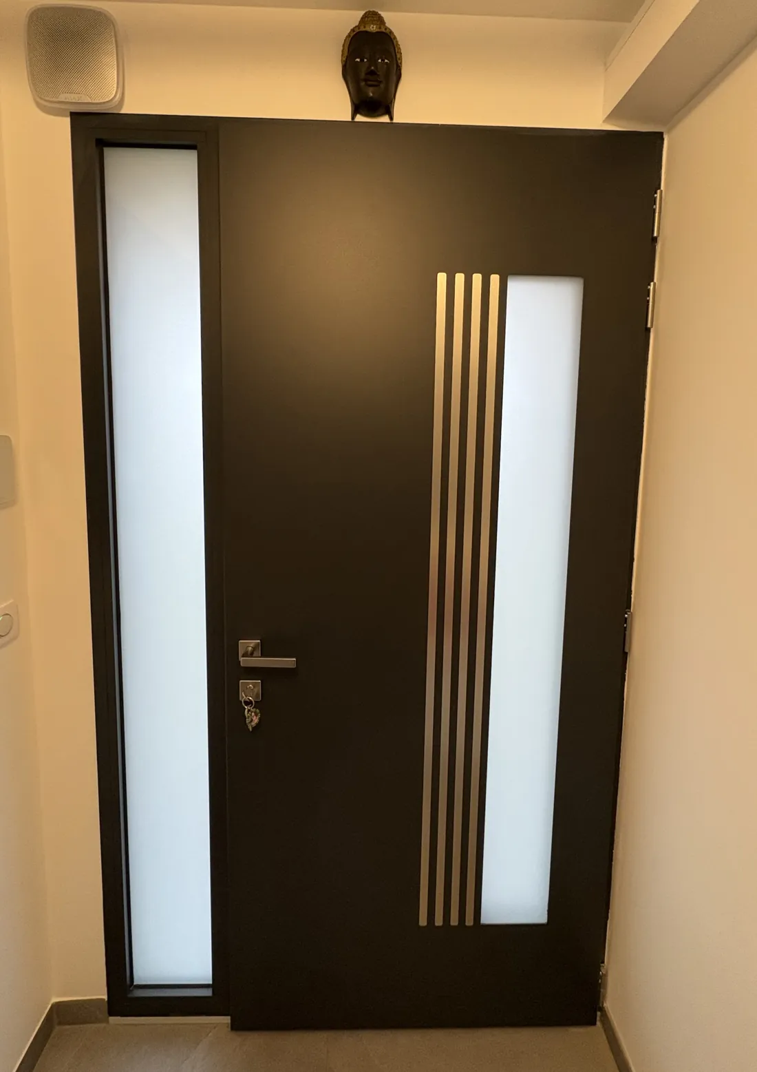 Porte d’entrée noire à vitrages latéraux et inserts verticaux